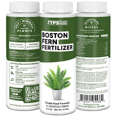 TPS Nutrients Boston Fern in windowsill display thrives with rich color.