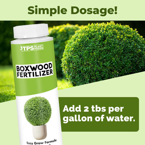 TPS NUTRIENTS Boxwood compact growth supports neatly shaped hedges