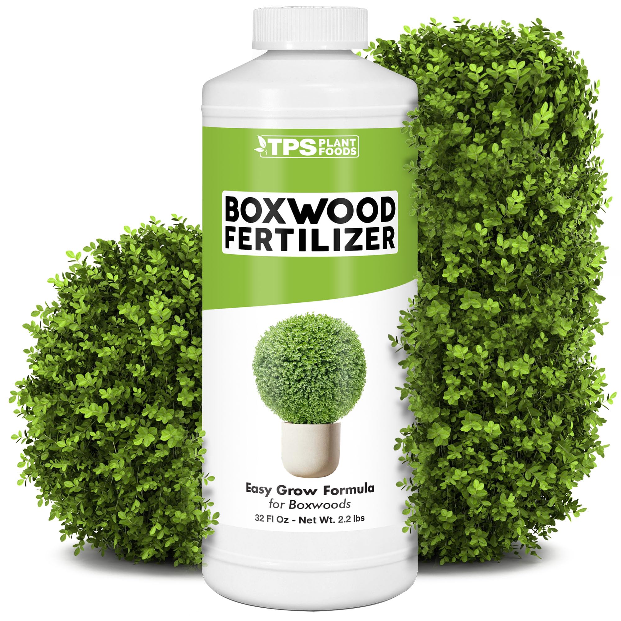 TPS NUTRIENTS Boxwood Fertilizer promotes dense growth in boxwood shrubs.