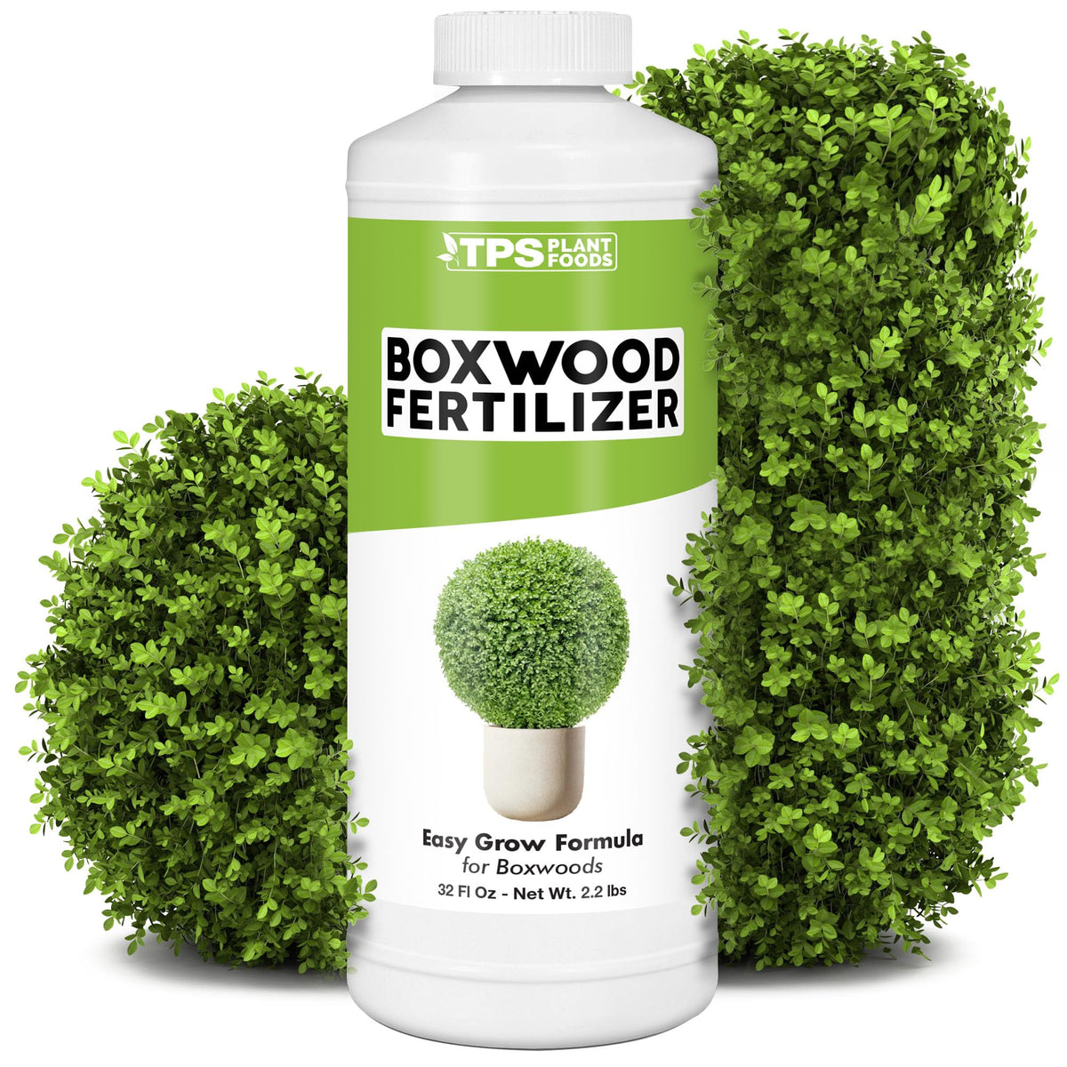 TPS NUTRIENTS Boxwood Fertilizer promotes dense growth in boxwood shrubs.