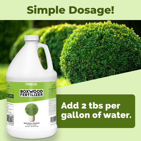 TPS NUTRIENTS Boxwood Fertilizer soil-application promotes healthy roots