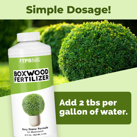 TPS NUTRIENTS Boxwood Fertilizer strengthens roots for boxwood health.