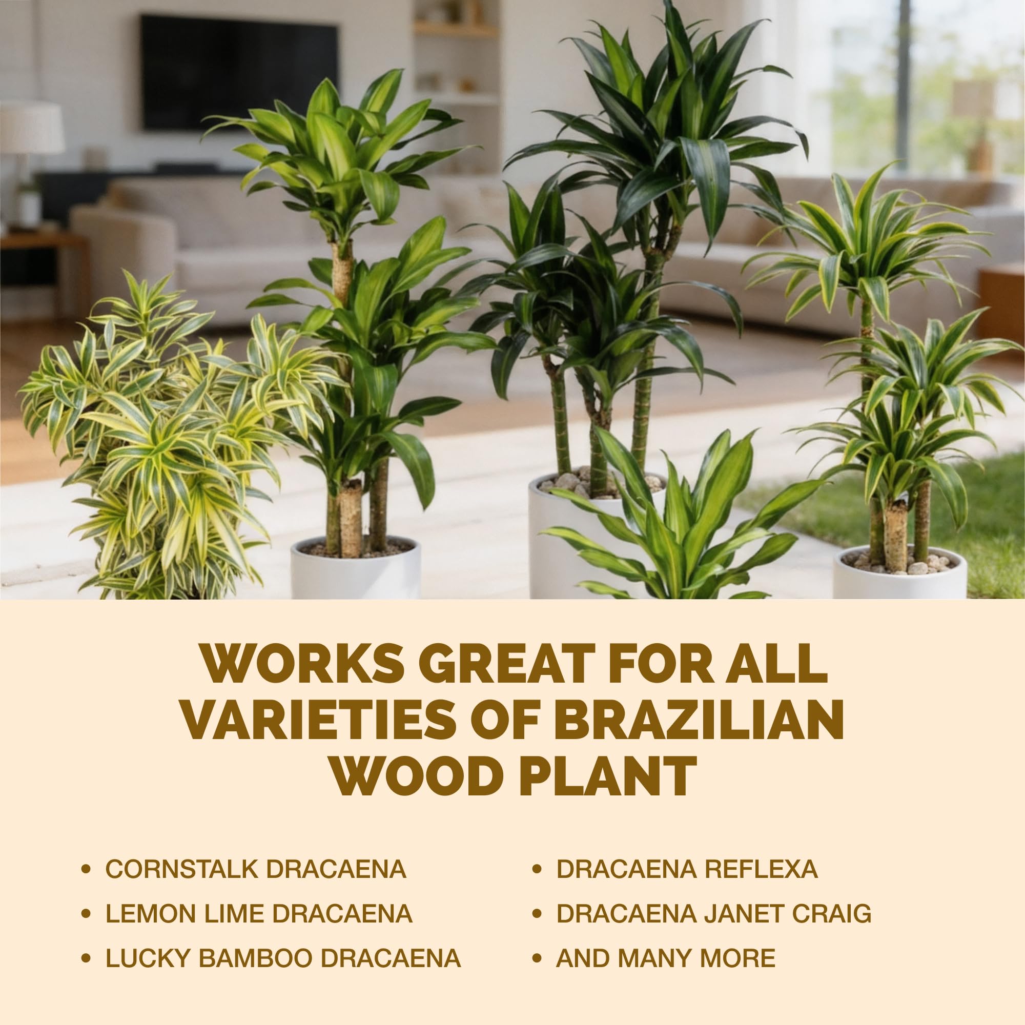 TPS NUTRIENTS Brazilian Wood Fertilizer in indoor planters for balanced nutrition