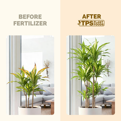 TPS NUTRIENTS Brazilian Wood Fertilizer liquid formula ready for use on foliage