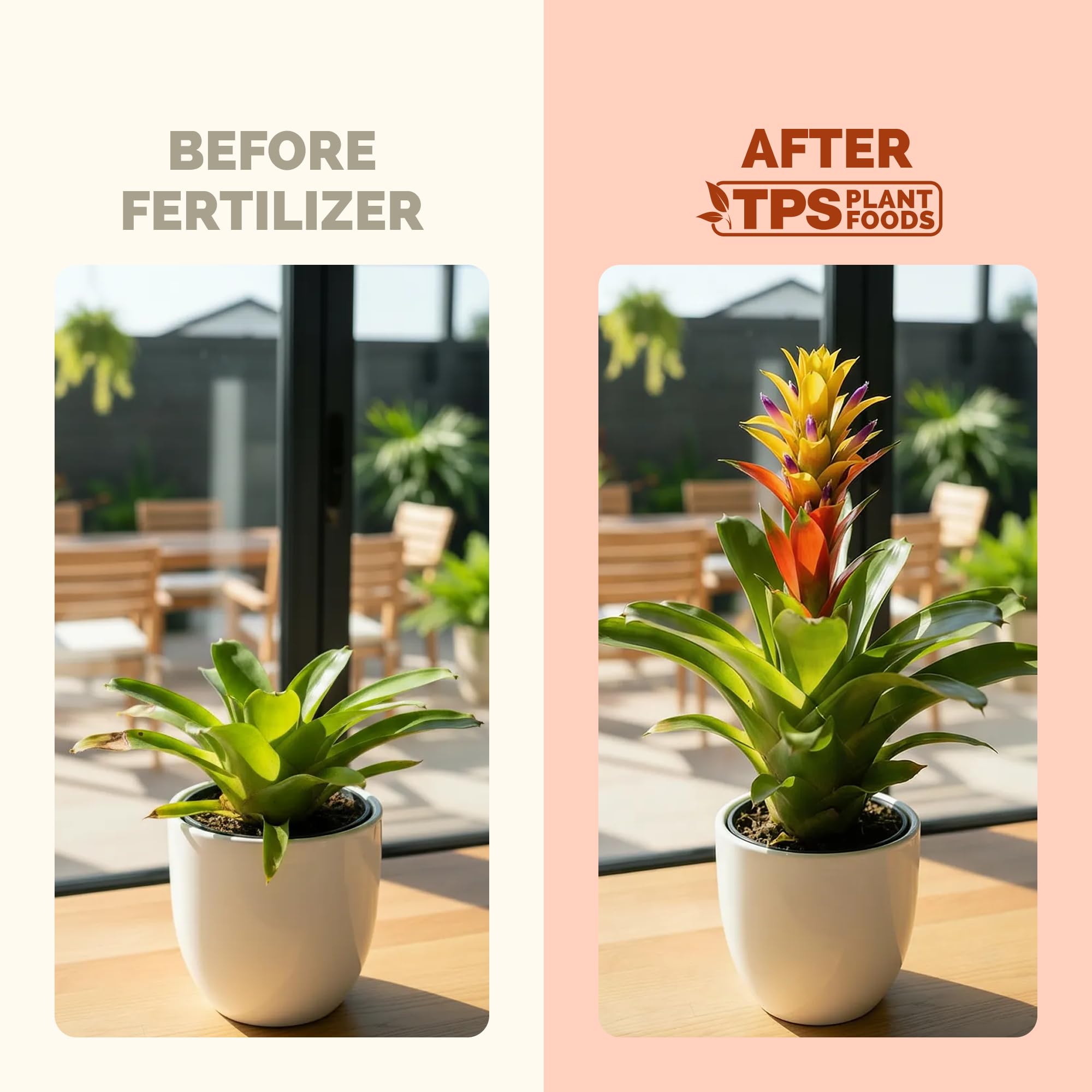 Close-up of the TPS NUTRIENTS Bromeliad Fertilizer label highlighting the gentle feeding formula