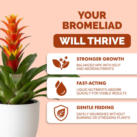 TPS NUTRIENTS Bromeliad Fertilizer pour enabling even distribution during watering