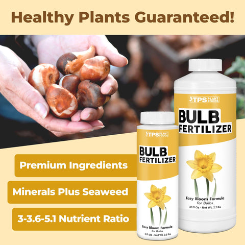 TPS NUTRIENTS Bulb Fertilizer improves bloom display with larger blooms