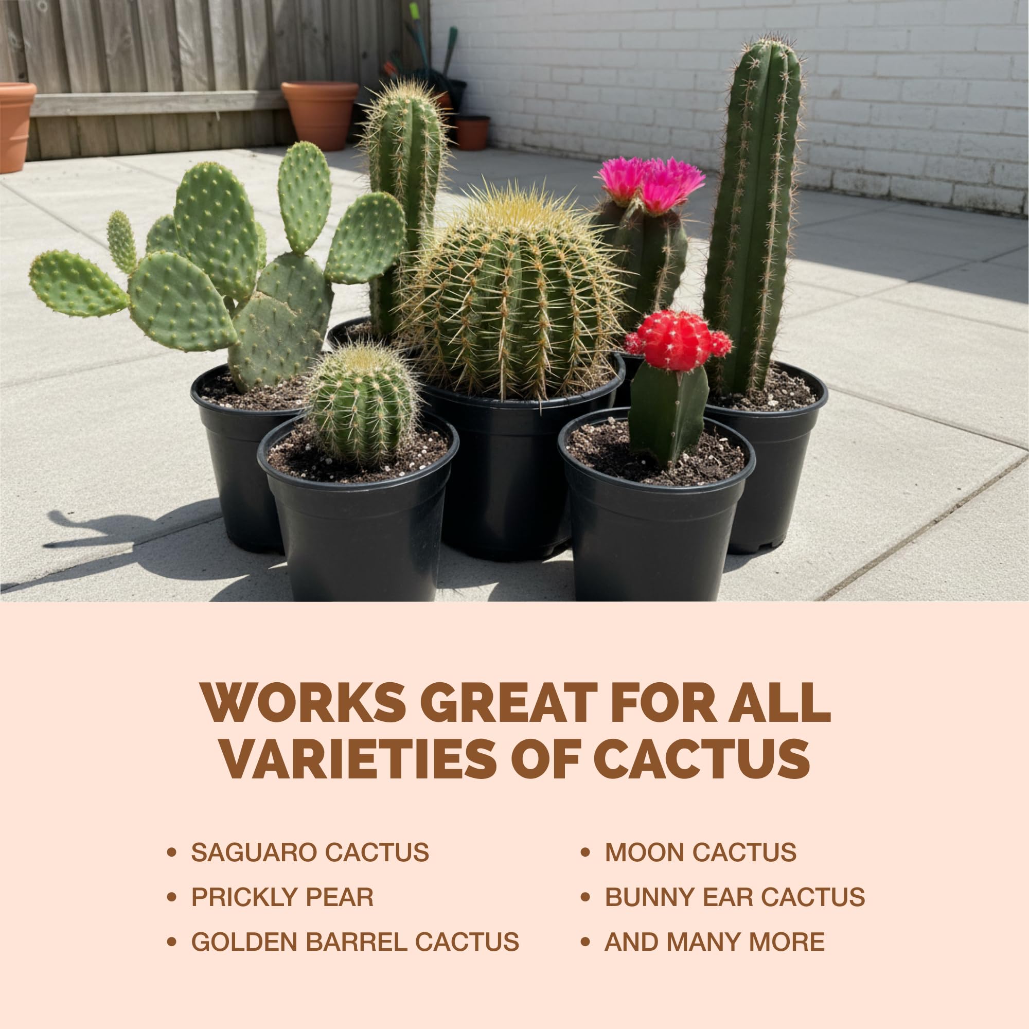 TPS Nutrients cactus fertilizer close-up bottle label for reliable desert plant nutrition