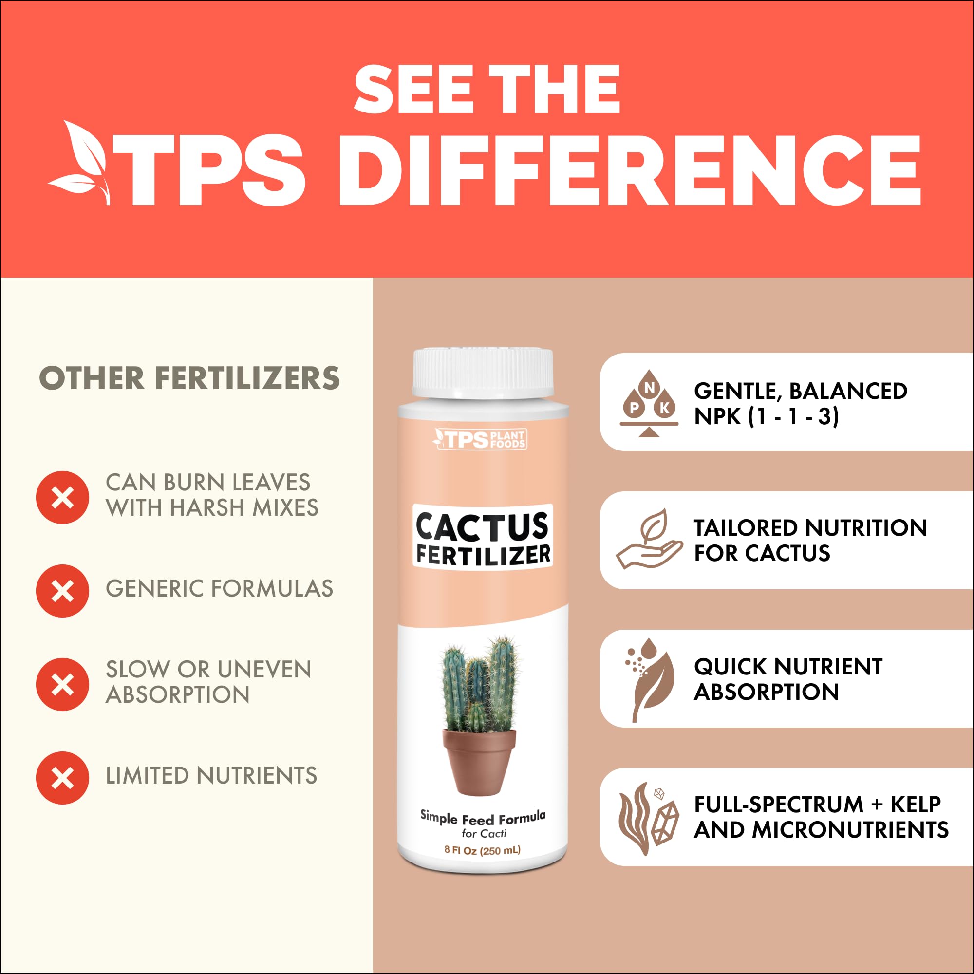 Potted cactus indoors being nourished with TPS NUTRIENTS.