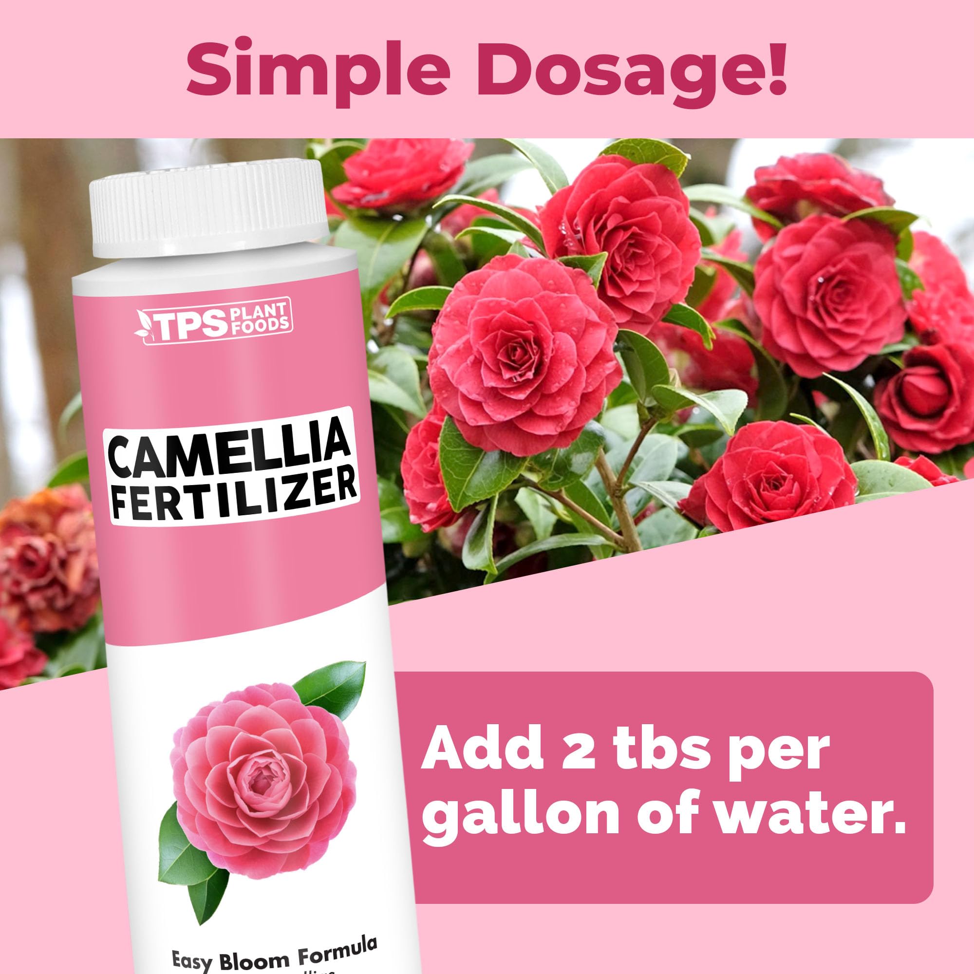TPS NUTRIENTS Camellia Fertilizer bloom detail highlights abundant flowers