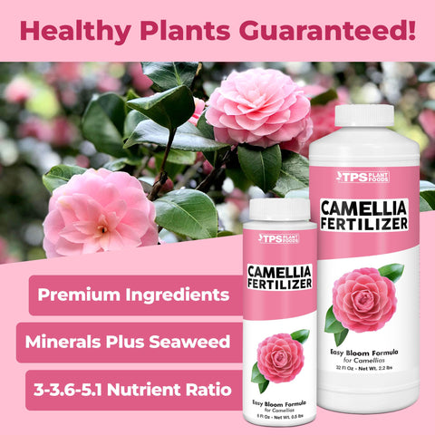 TPS NUTRIENTS Camellia Fertilizer foliage close-up shows lush green leaves