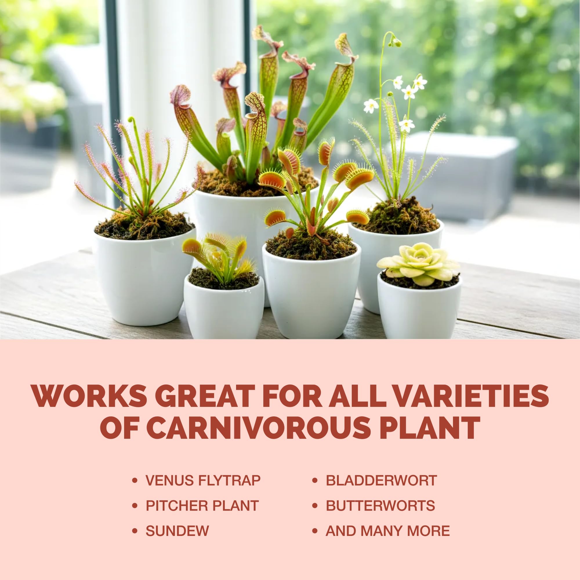 Made in USA quality assurance for TPS NUTRIENTS carnivorous fertilizer.
