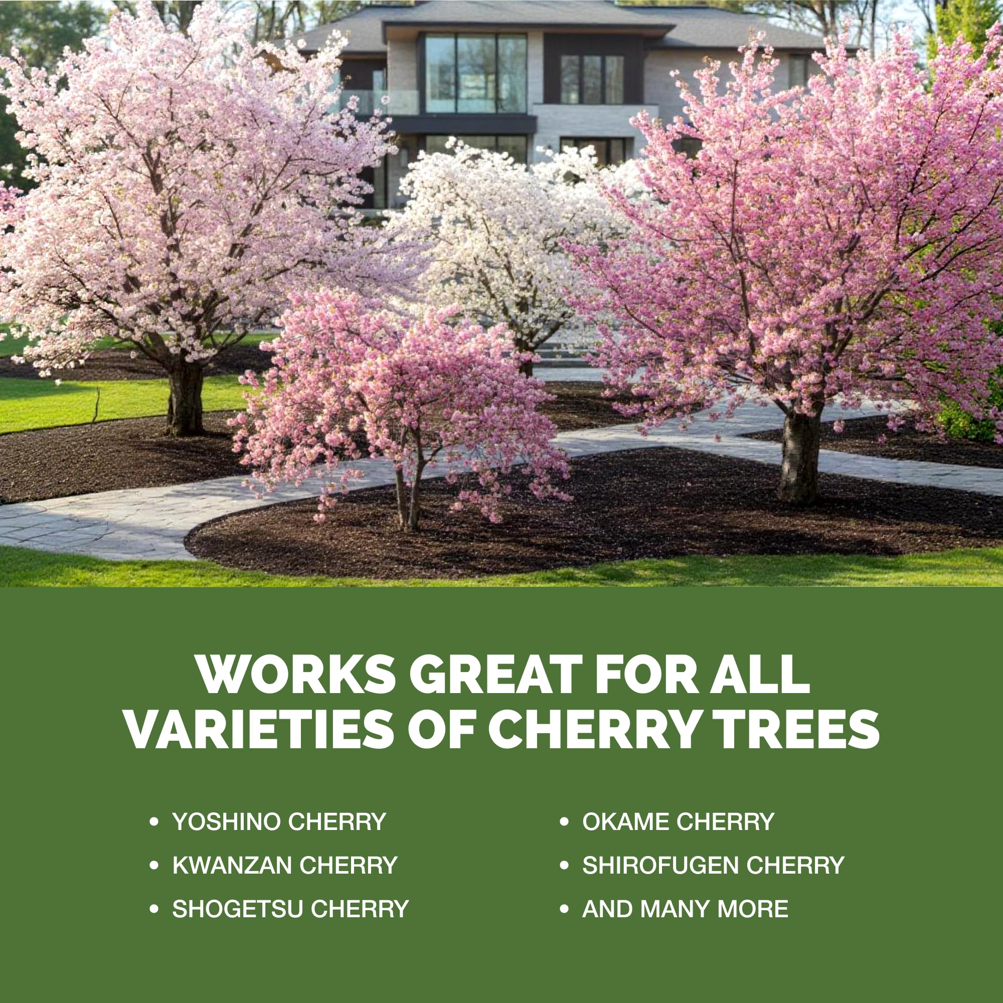 TPS NUTRIENTS cherry tree fertilizer dosing demonstrates easy measurement for regular feeding.