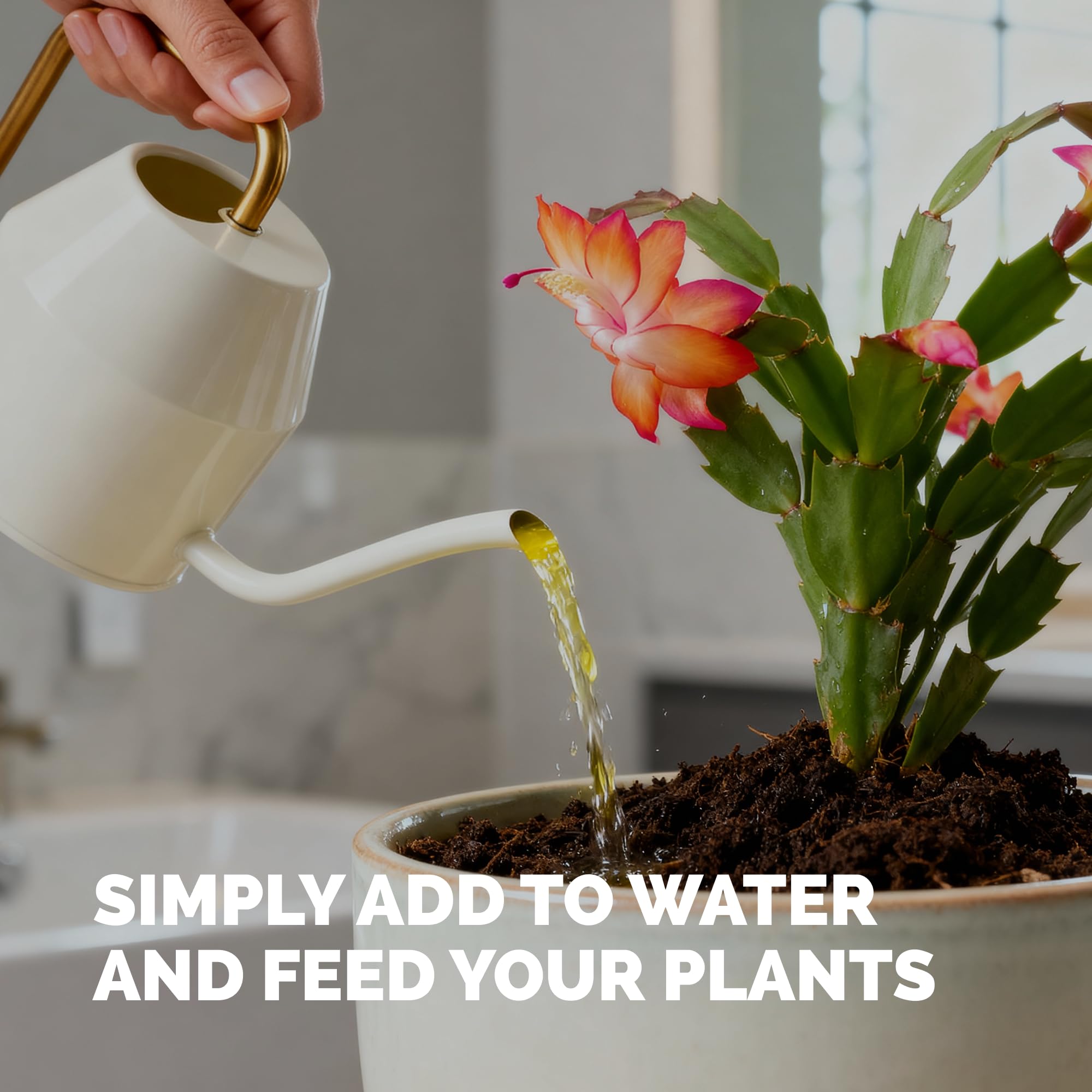 TPS NUTRIENTS indoor cactus care with balanced nutrition