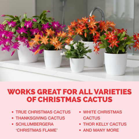 TPS NUTRIENTS indoor pot scene illustrating easy home plant care