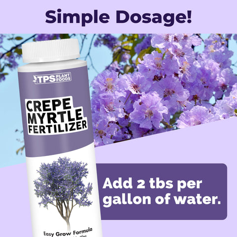 Healthy green foliage with TPS NUTRIENTS Crepe Myrtle Fertilizer.
