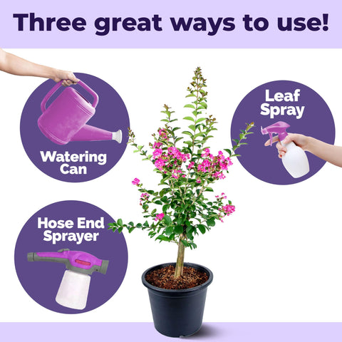 Garden application of TPS NUTRIENTS Crepe Myrtle Fertilizer.