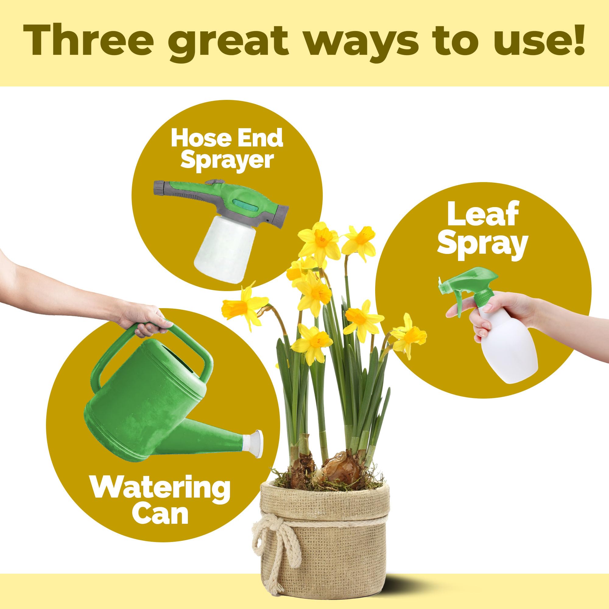 TPS NUTRIENTS Daffodil Fertilizer on seasonal bulb displays supports reliable flowering.