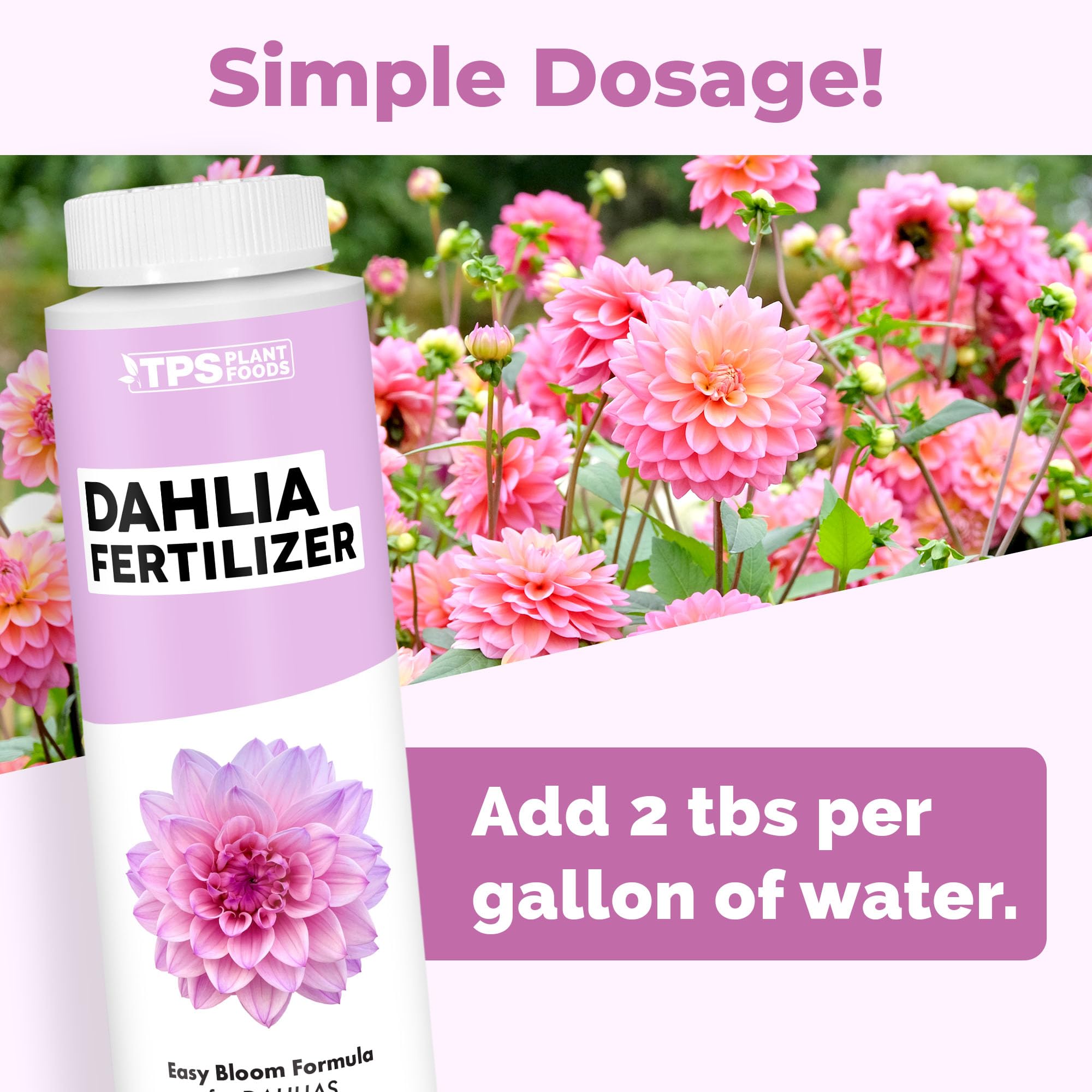 TPS Nutrients Dahlia Fertilizer bloom color focus brightens flower displays.