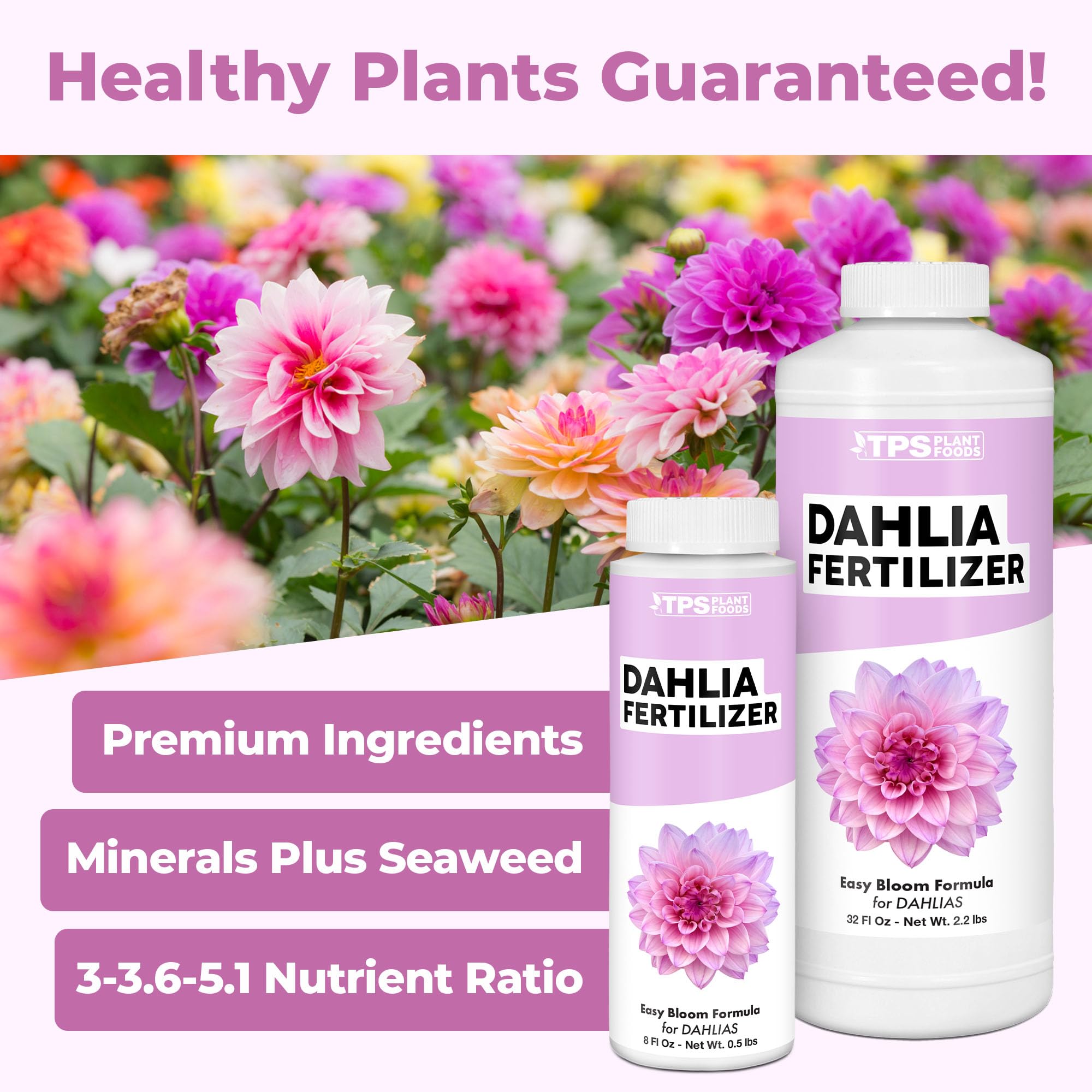 TPS Nutrients Dahlia Fertilizer enhances lush green foliage and strong stems.