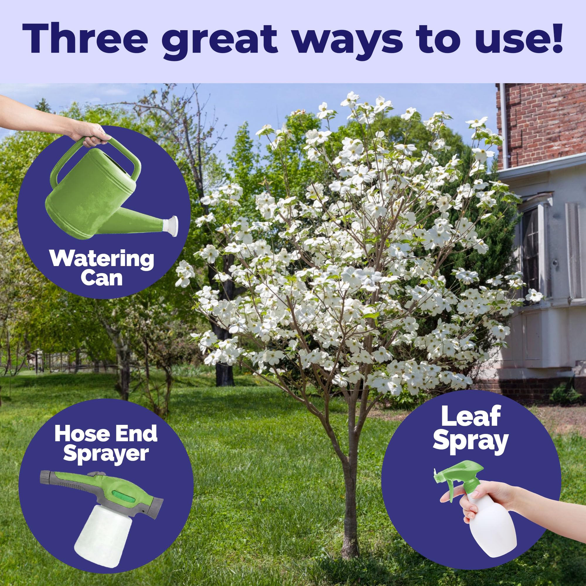 TPS Nutrients Dogwood Tree Fertilizer measuring spoon ensures precise feeding.