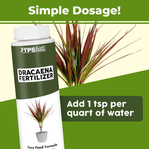 TPS NUTRIENTS Dracaena Fertilizer label close-up with clear directions