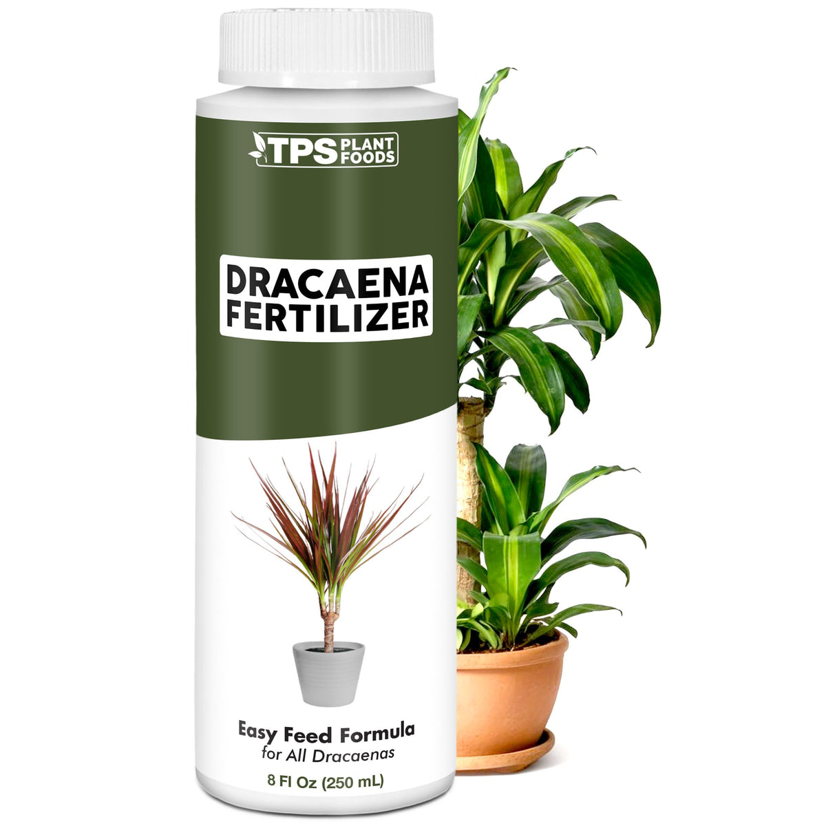 TPS NUTRIENTS Dracaena Fertilizer liquid bottle ready for indoor plant feeding