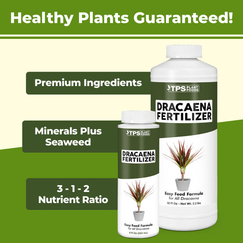 TPS NUTRIENTS Dracaena Fertilizer being poured for easy dose and greener leaves
