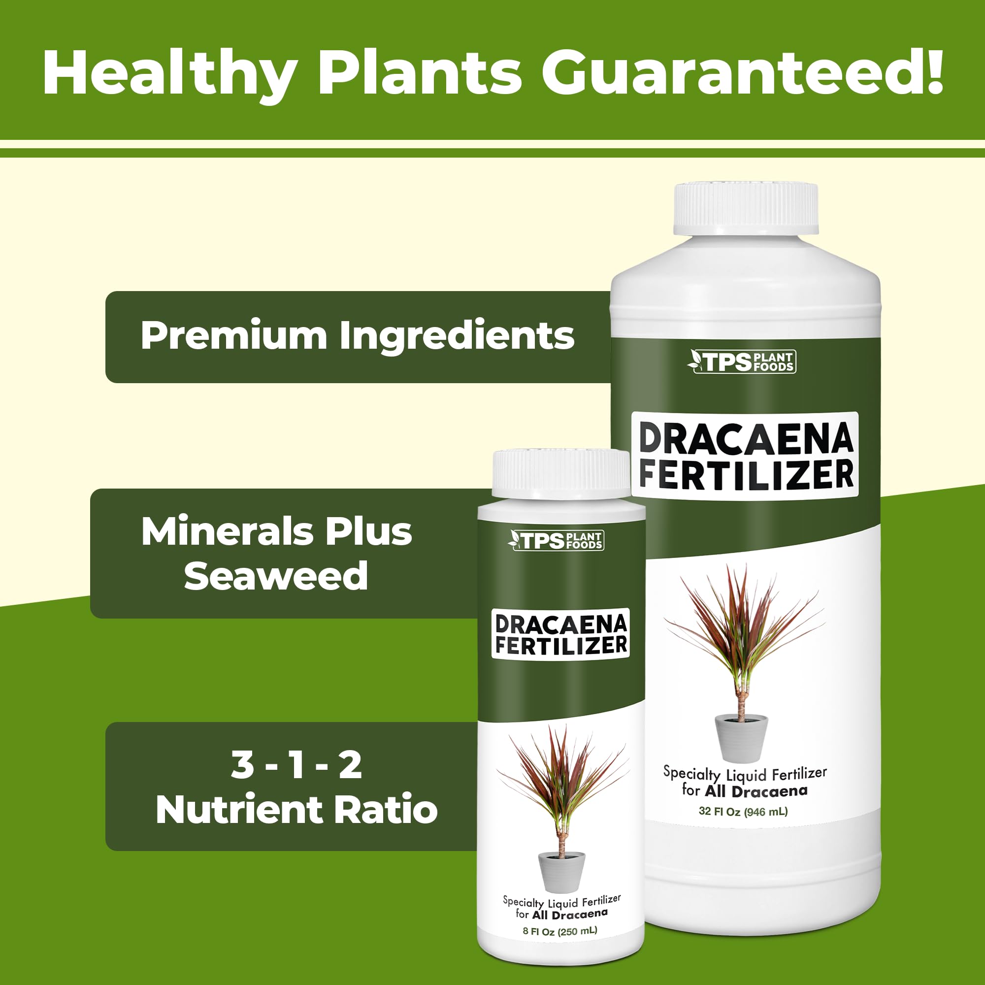 TPS NUTRIENTS Dracaena Fertilizer promotes stronger cane growth in Dracaena
