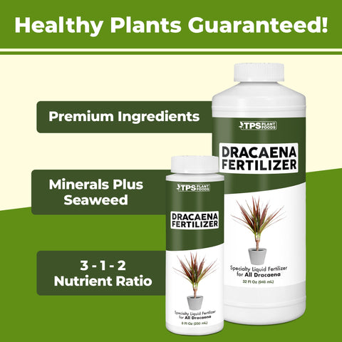 TPS NUTRIENTS Dracaena Fertilizer promotes stronger cane growth in Dracaena