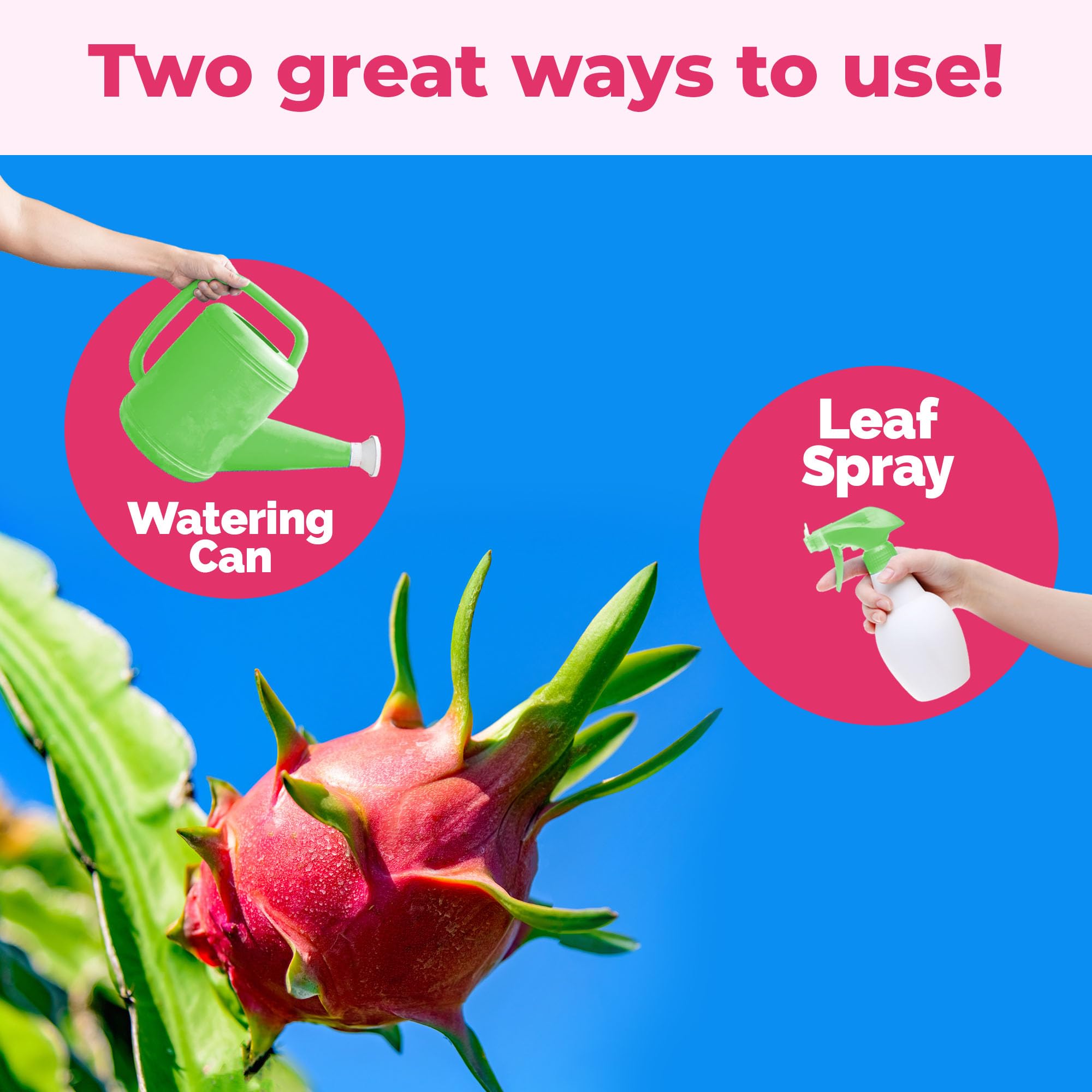 TPS NUTRIENTS Dragon Fruit Fertilizer application guide showing simple feeding steps