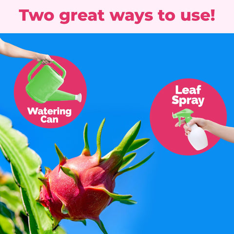 TPS NUTRIENTS Dragon Fruit Fertilizer on trellis supports reliable flowering.