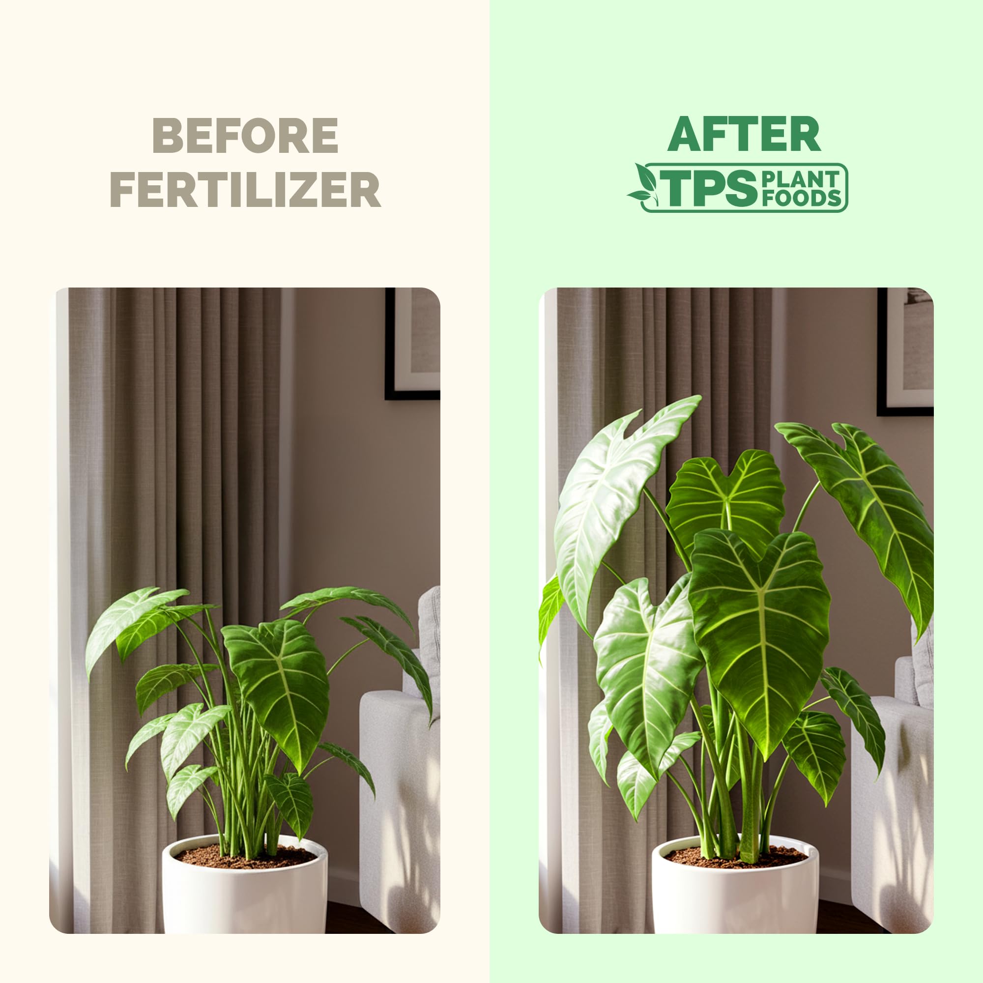 TPS NUTRIENTS Elephant Ear strong stems support a sturdy plant structure