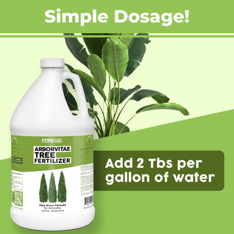 TPS NUTRIENTS Balanced evergreen nutrition supports steady growth and color.