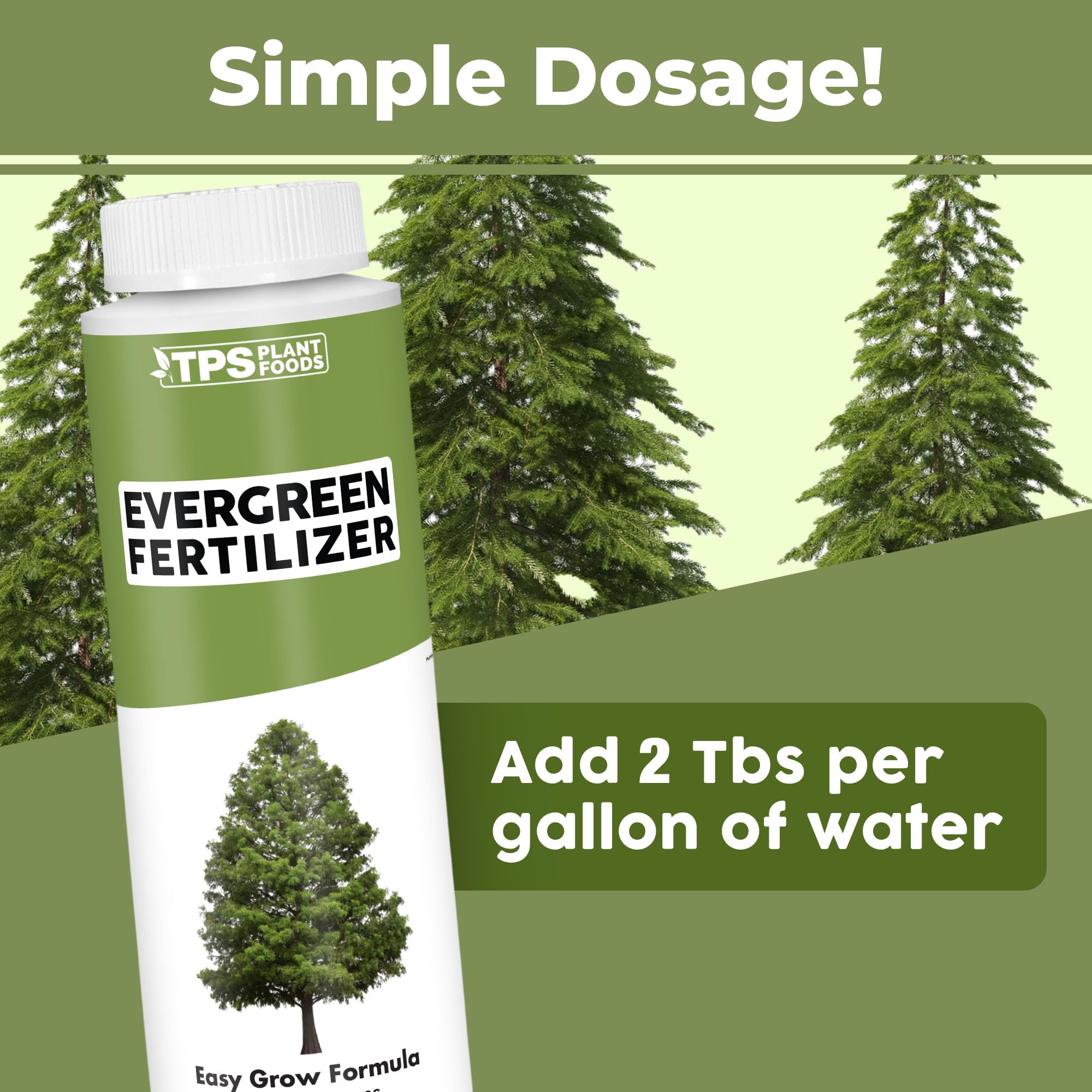 TPS NUTRIENTS Evergreen Tree Fertilizer needles closeup highlights vibrant needle health