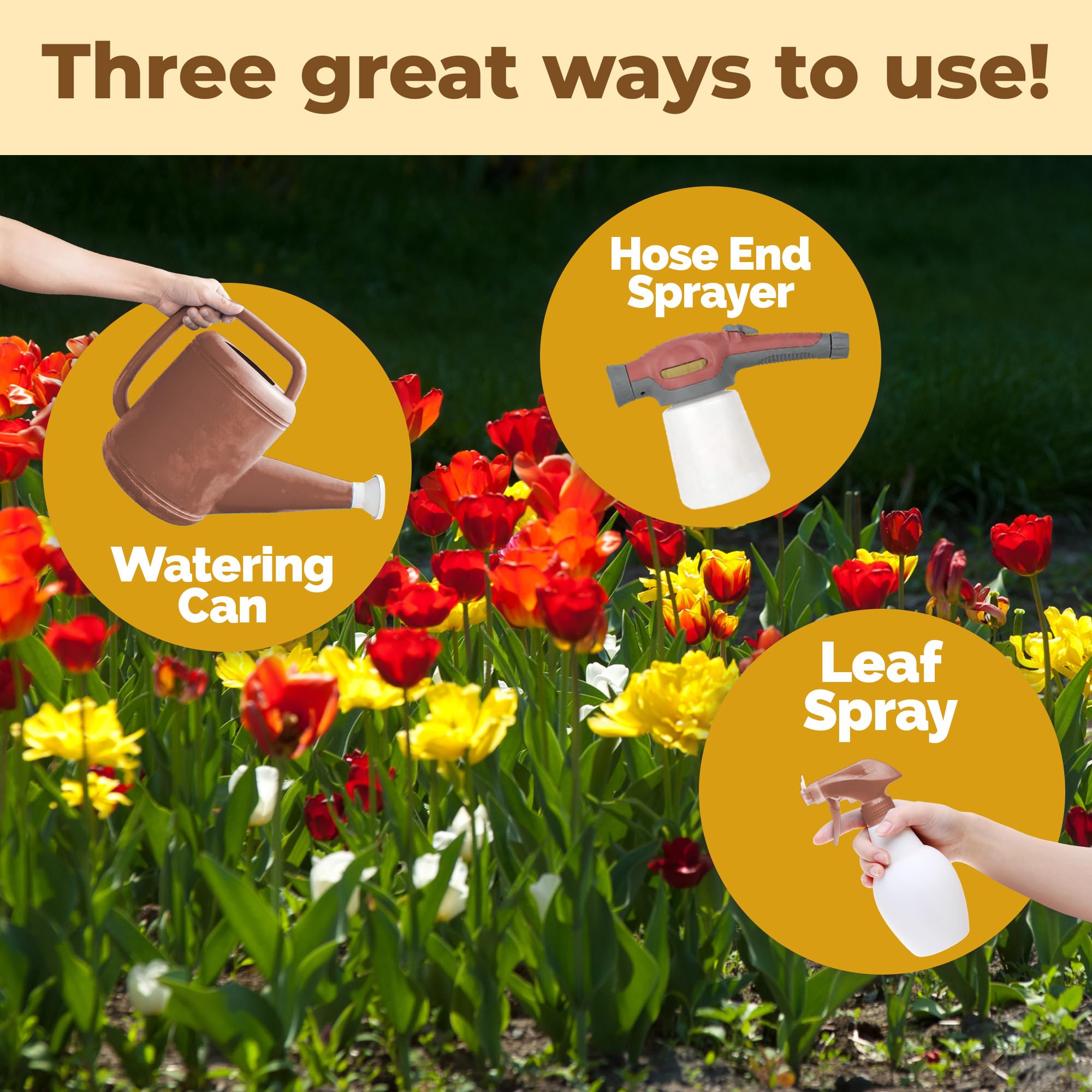 TPS NUTRIENTS Fall garden bulbs thriving in outdoor beds with liquid nutrition