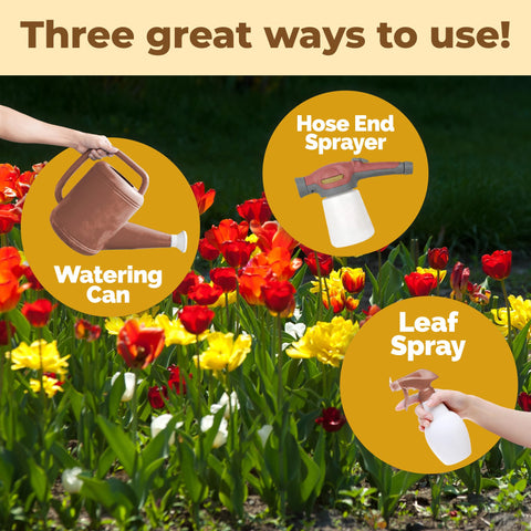 TPS NUTRIENTS Fall garden bulbs thriving in outdoor beds with liquid nutrition