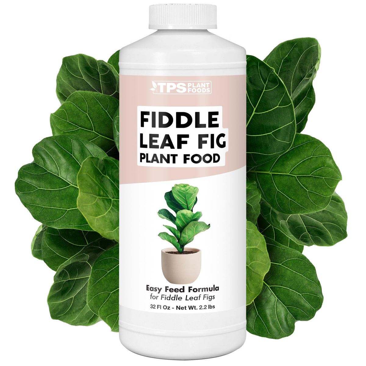 TPS NUTRIENTS fiddle leaf fig bottle being poured to nourish balanced growth
