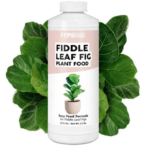 TPS NUTRIENTS fiddle leaf fig bottle being poured to nourish balanced growth