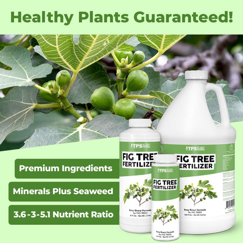 TPS NUTRIENTS fig-tree-fertilizer-pouring-bottle demonstrates easy liquid feeding for steady fruiting.