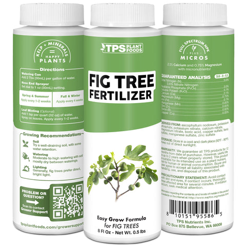 TPS NUTRIENTS fig-tree-fruit-harvest shows potential for improved fruit production.