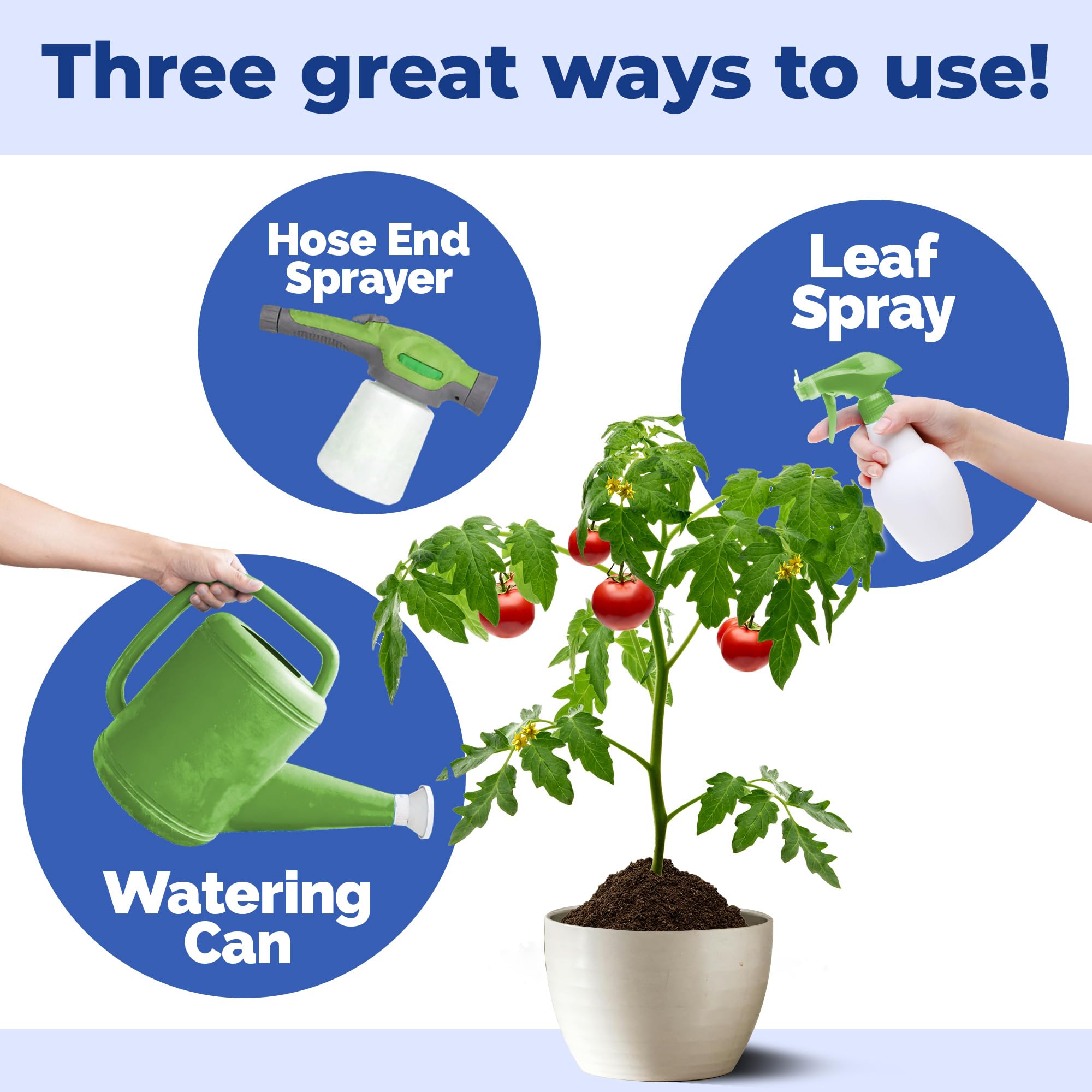 TPS NUTRIENTS flowering-bloom-stage shows vibrant blooms on healthy plants.