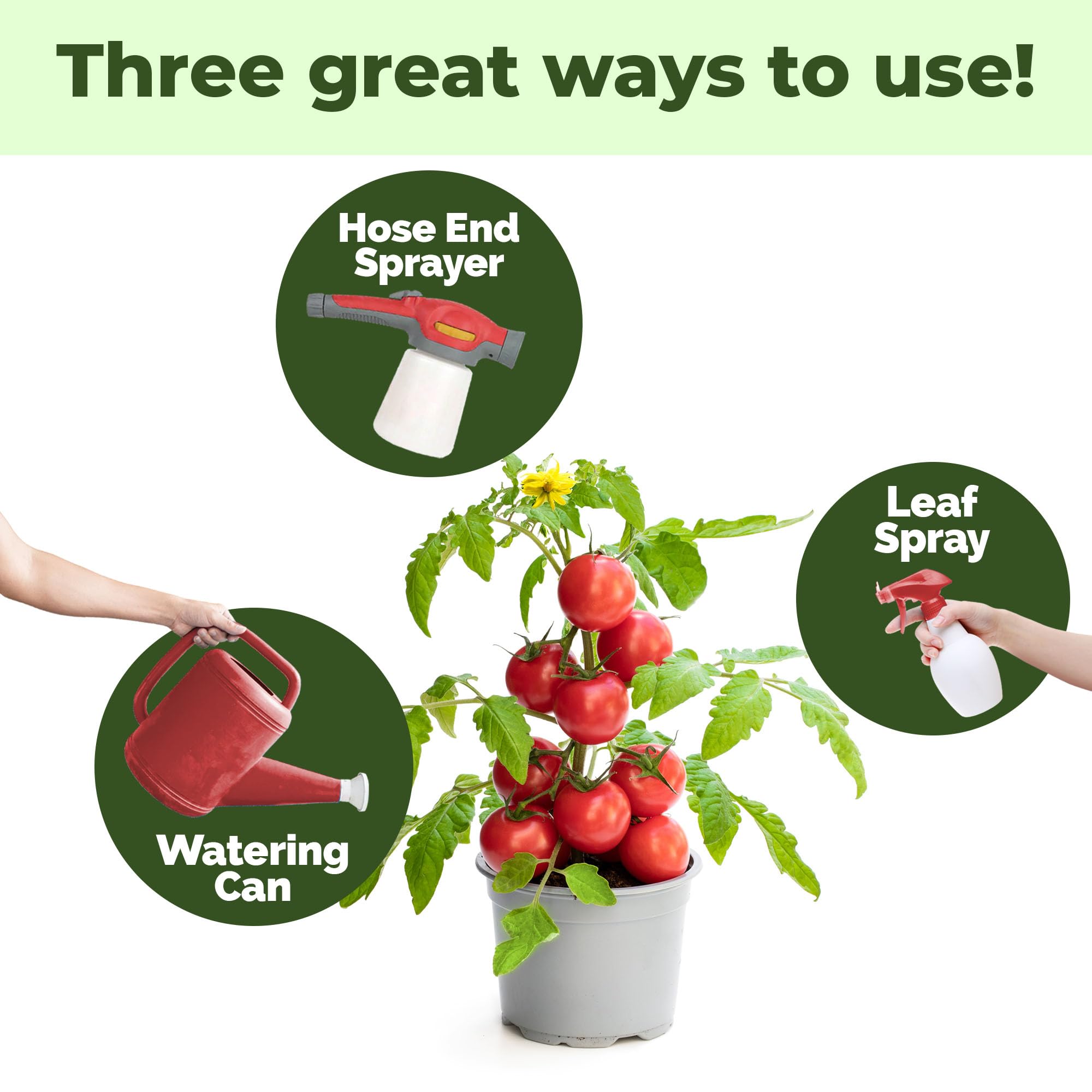 TPS NUTRIENTS fruiting vegetables and bulbs show improved fruit set