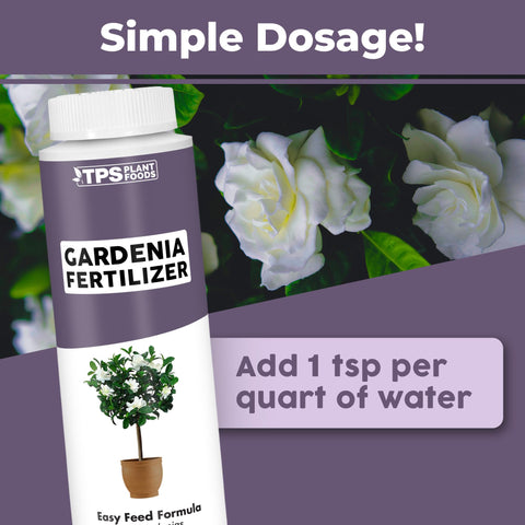 TPS NUTRIENTS Gardenia Fertilizer bloom close-up indicating abundant flowers development