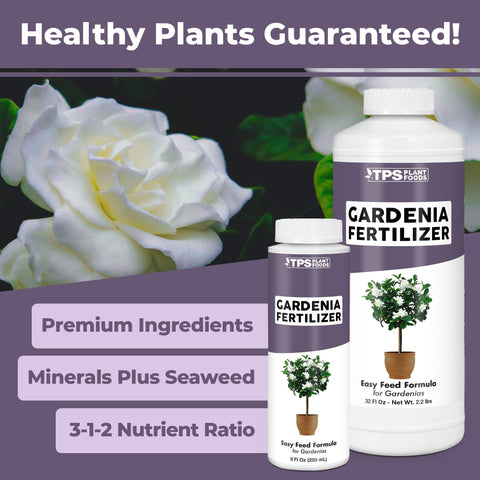 Container garden with gardenias receiving TPS NUTRIENTS liquid plant food for healthy blooms.