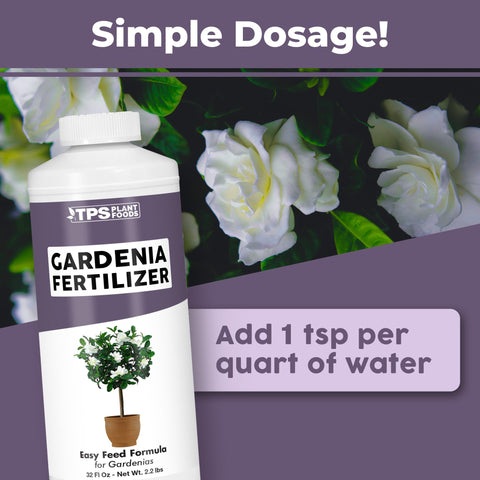 Gardenia plants with lush green foliage nourished by TPS NUTRIENTS liquid fertilizer.