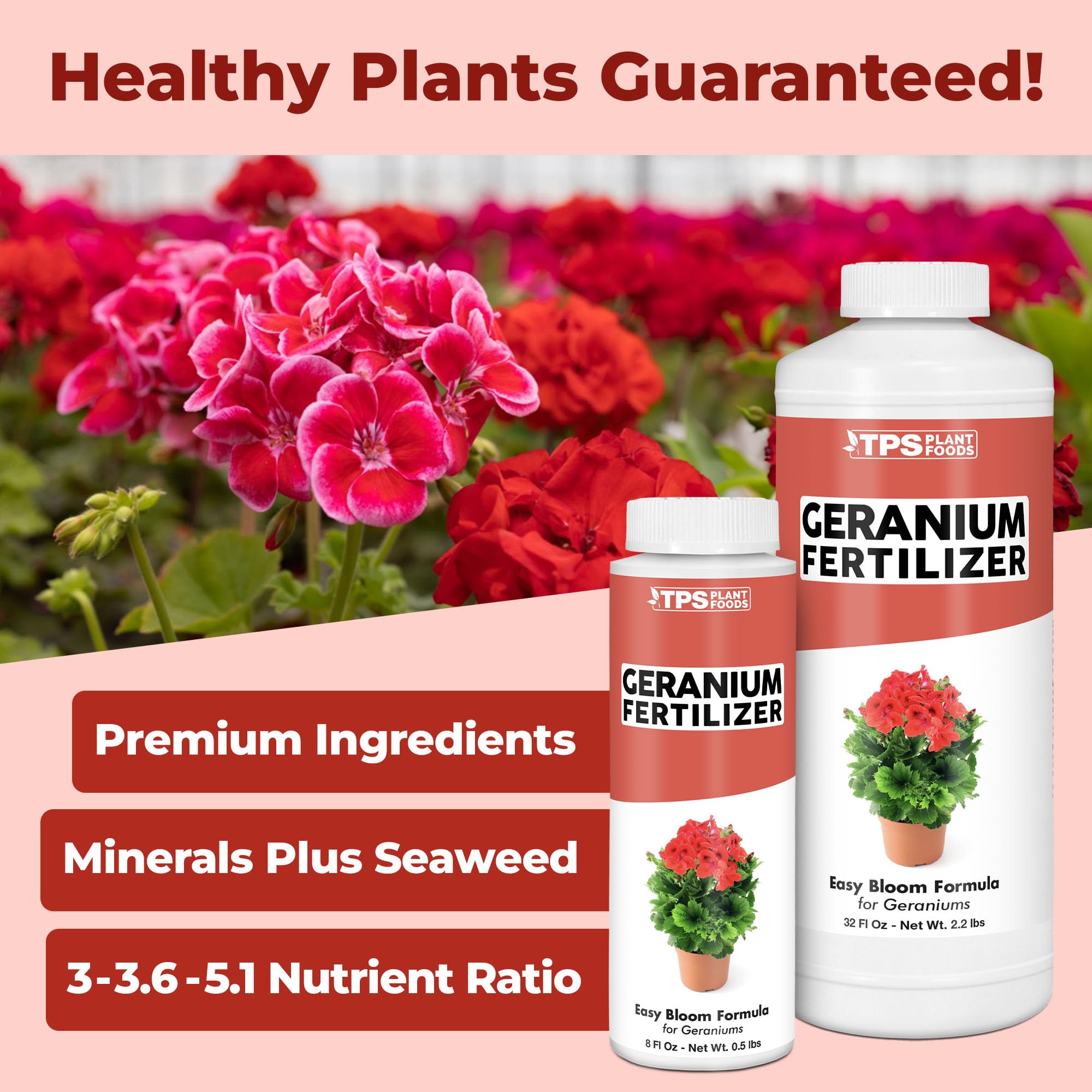 TPS NUTRIENTS Geranium Blooms closeup shows colorful petals and lush foliage