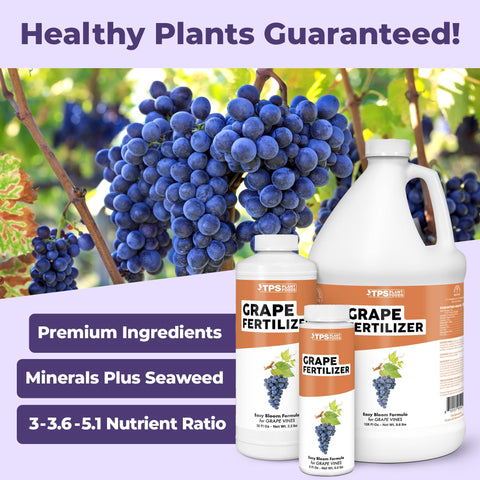 TPS NUTRIENTS grape fertilizer pour demonstrates easy application for even coverage