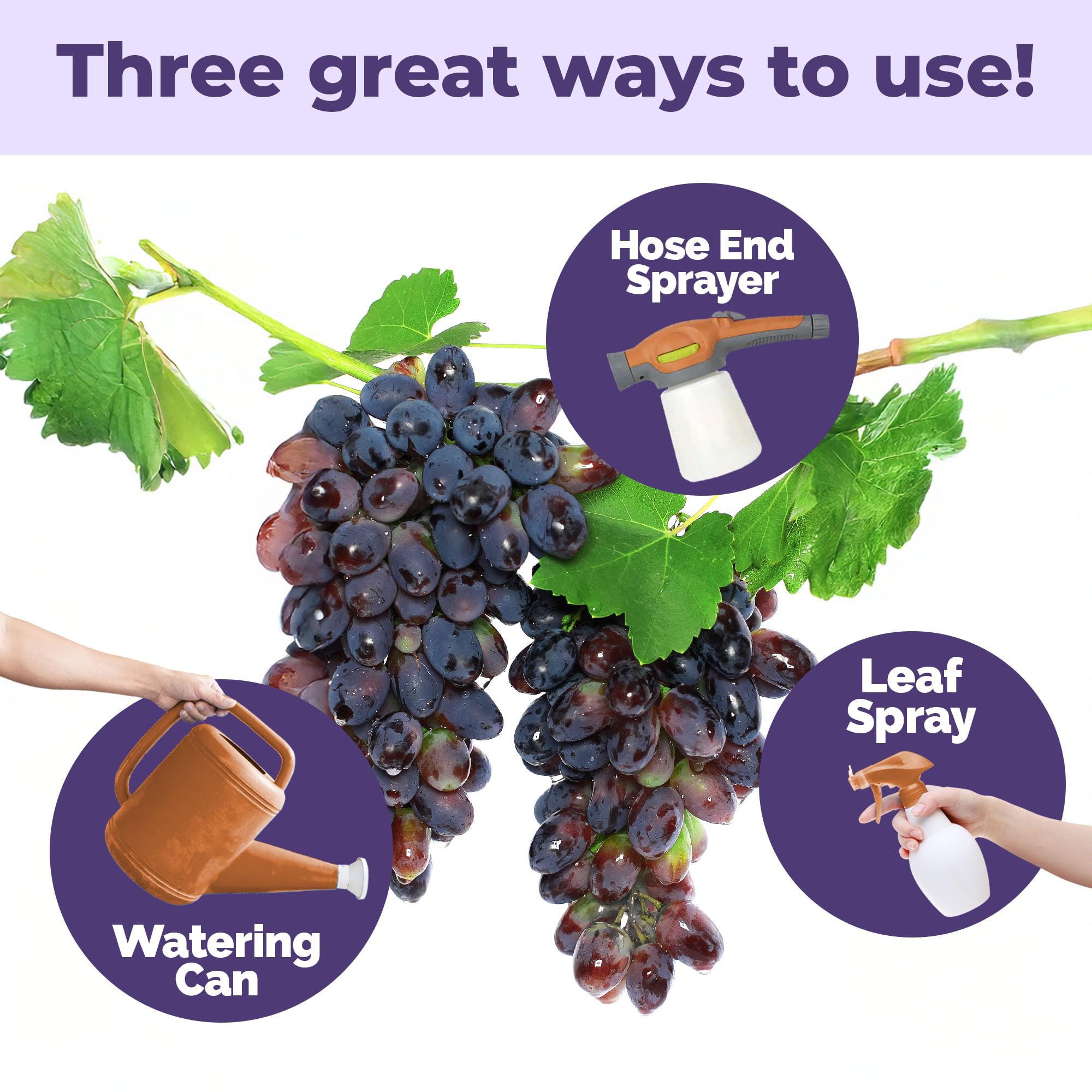 TPS NUTRIENTS Grape Fertilizer promotes fruit development and potential harvest quality.