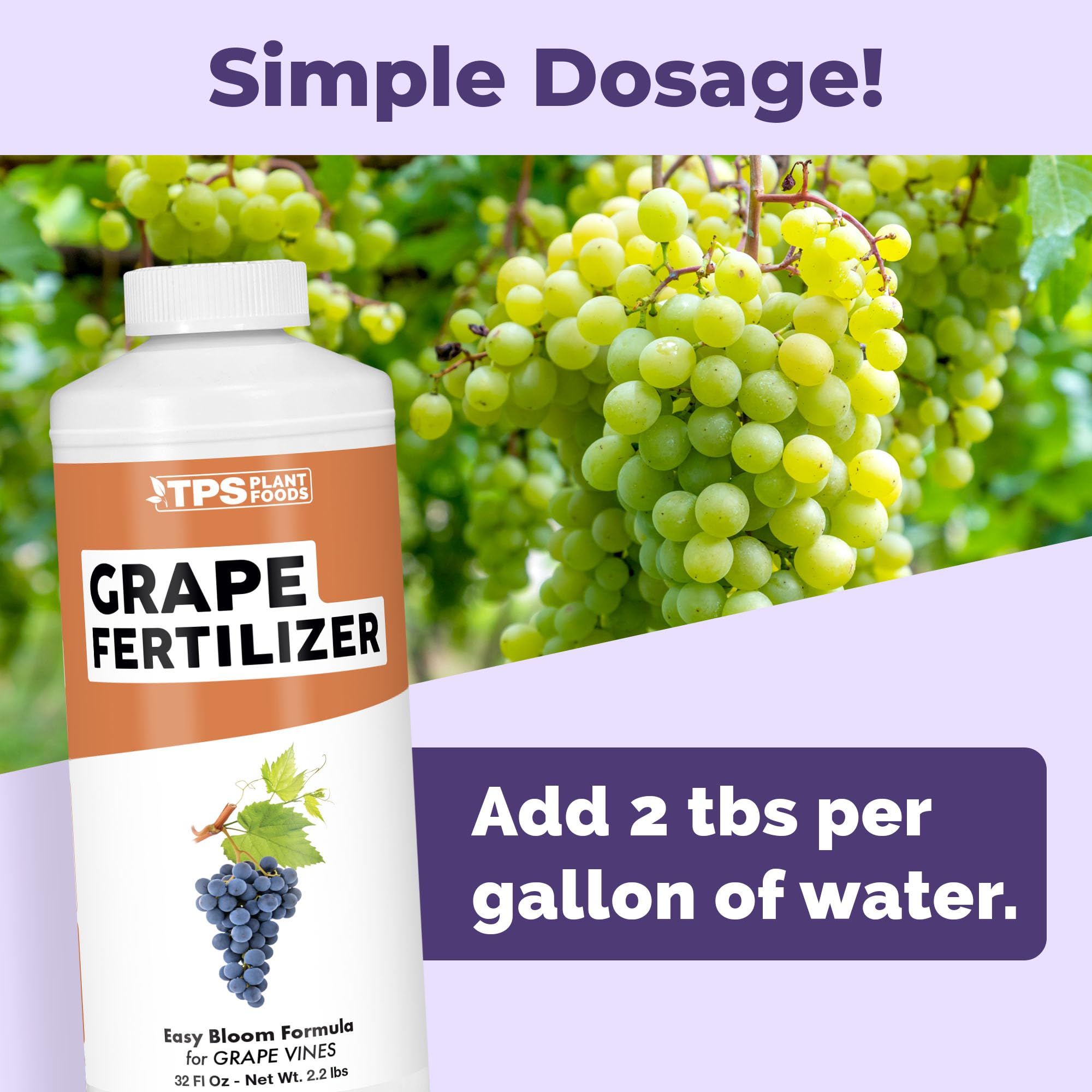 TPS NUTRIENTS grape vines with developing fruit ready for harvest